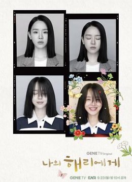 致我的解离解说版