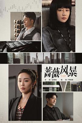 蔷薇风暴解说版