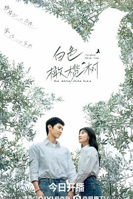 白色橄榄树解说版