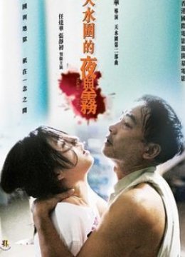 天水围的夜与雾天TC