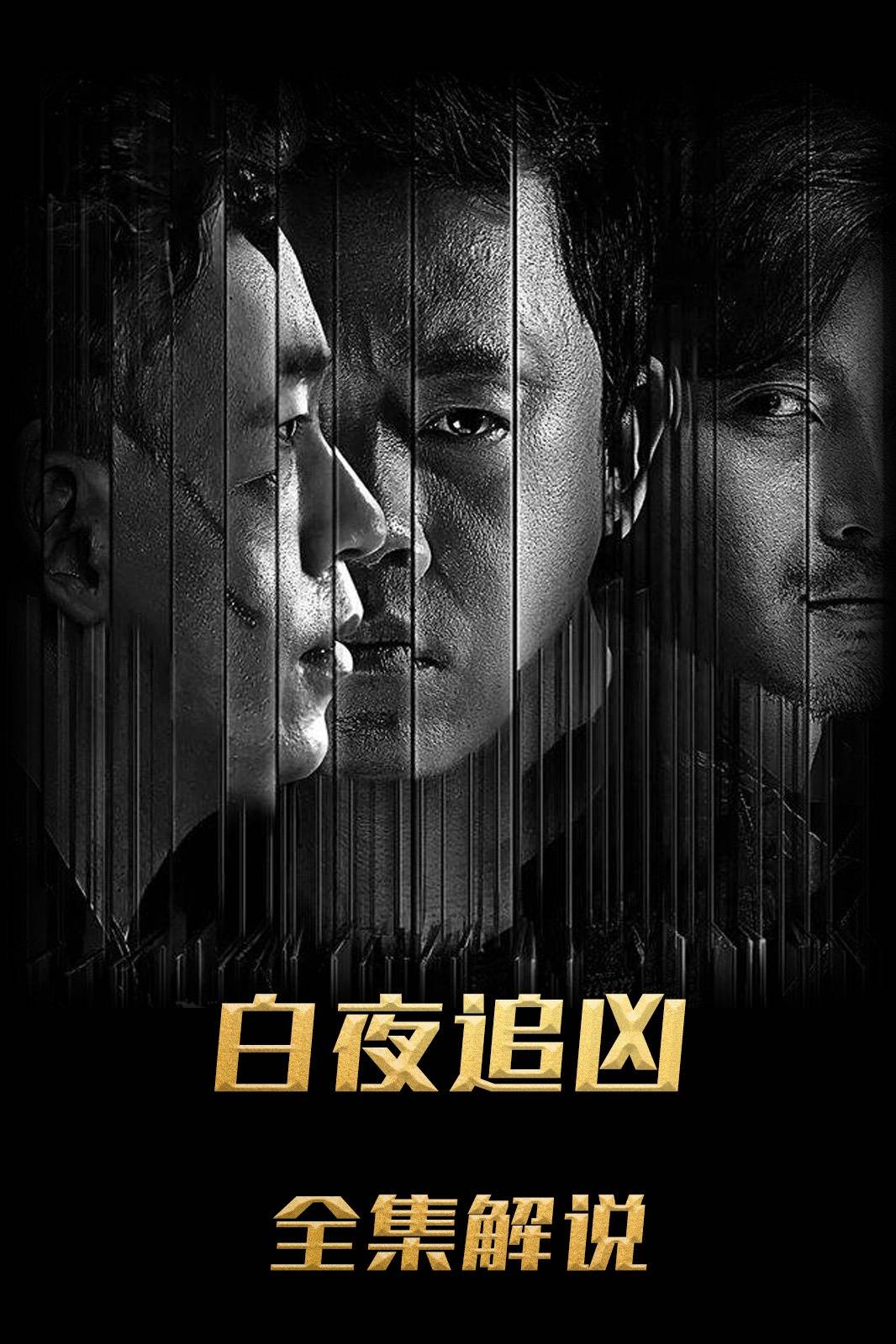 白夜追凶解说版