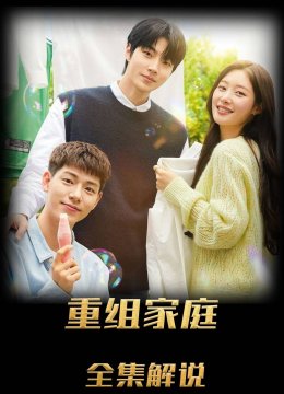 重组家庭解说版