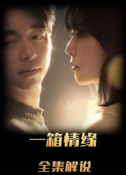 一箱情缘解说版