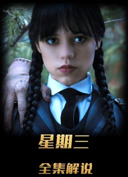 星期三第一季解说版