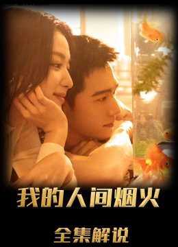 我的人间烟火解说版