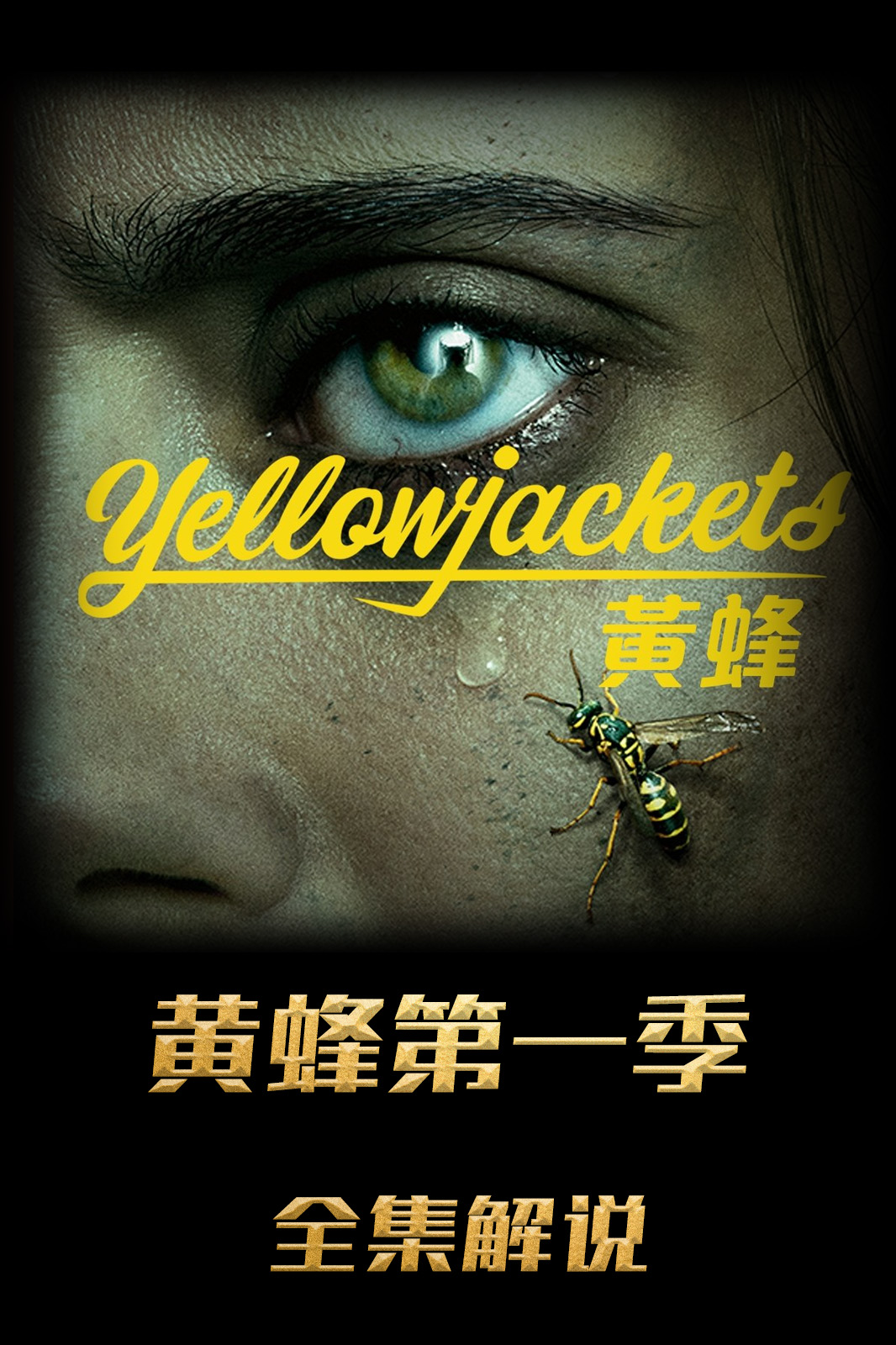 黄蜂第一季解说版