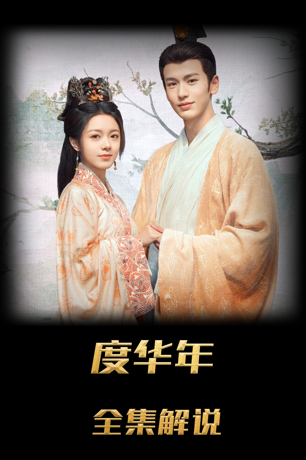 度华年解说版