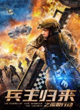 兵王归来之孤狼行动