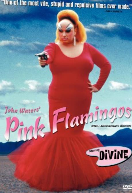 粉红色的火烈鸟