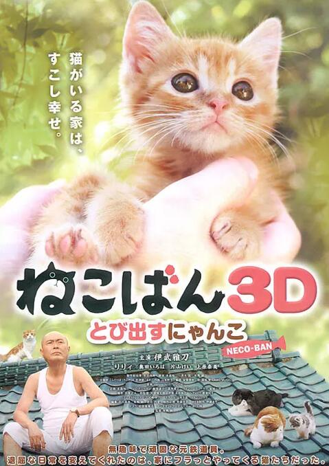 小猫跳出来3D