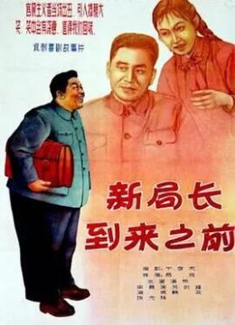 新局长到来之前