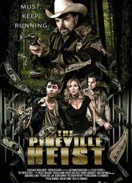 派恩维尔抢劫案