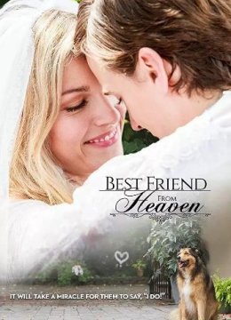 来自天堂的最好朋友