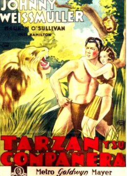 泰山和他们的伙伴们