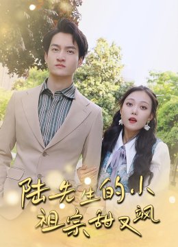 陆先生的小祖宗甜又飒