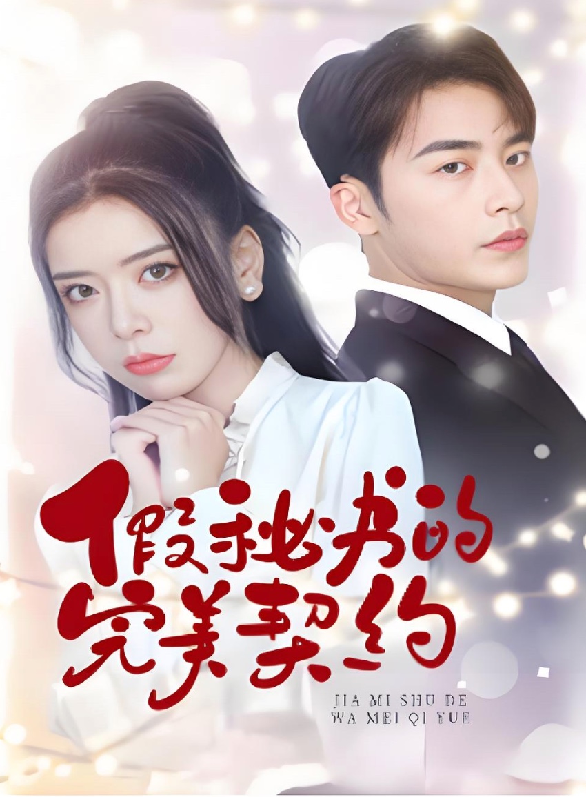 假秘书的完美契约