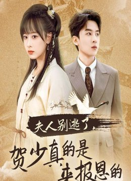 夫人别逃了贺少真的是来报恩的