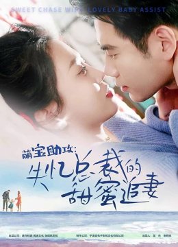 萌宝助攻失忆总裁的甜蜜追妻