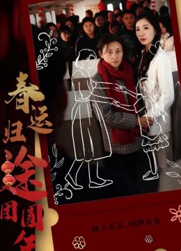 春运归途团圆年