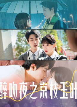 醉吻夜之京枝玉叶