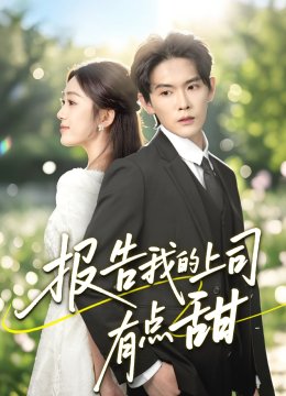 报告我的上司有点甜