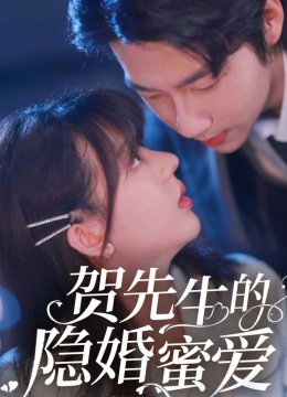 贺先生的隐婚蜜爱