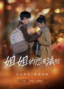 姐姐的恋爱法则