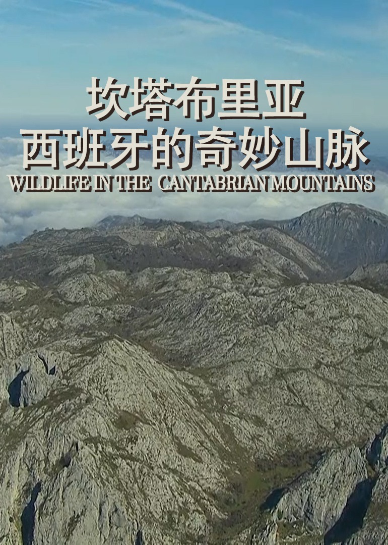 坎塔布里亚：西班牙的奇妙山脉