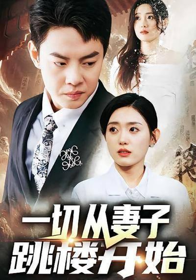一切从妻子跳楼开始