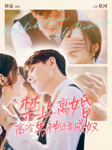 禁止离婚高冷男神追妻成奴