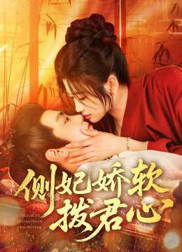 侧妃娇软拨君心