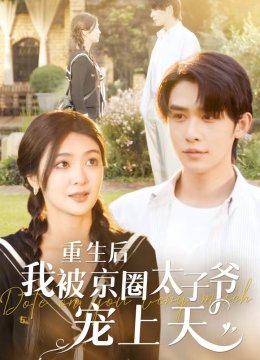 重生后我被京圈太子爷宠上天