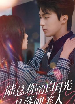 陆总你的白月光是落魄美人