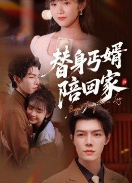 替身丐婿陪回家