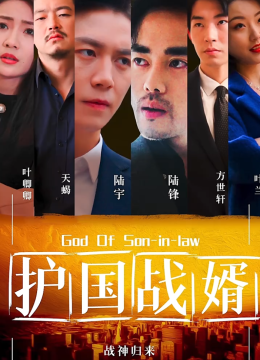 护国战婿