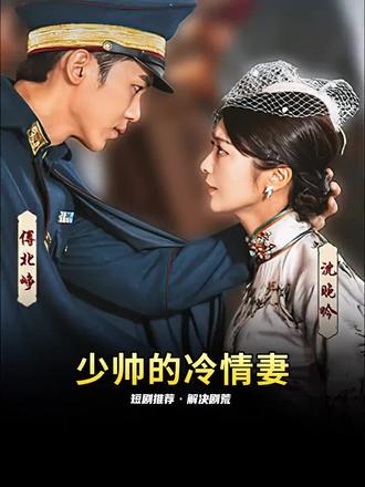 少帅的冷情妻