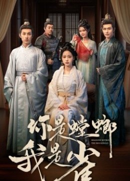 你是螳螂我是雀