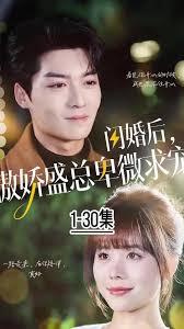 闪婚后傲娇盛总卑微求宠