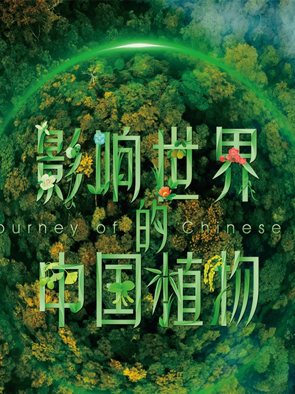 影响世界的中国植物