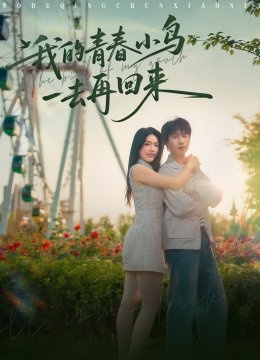 我的青春小鸟一去再回来
