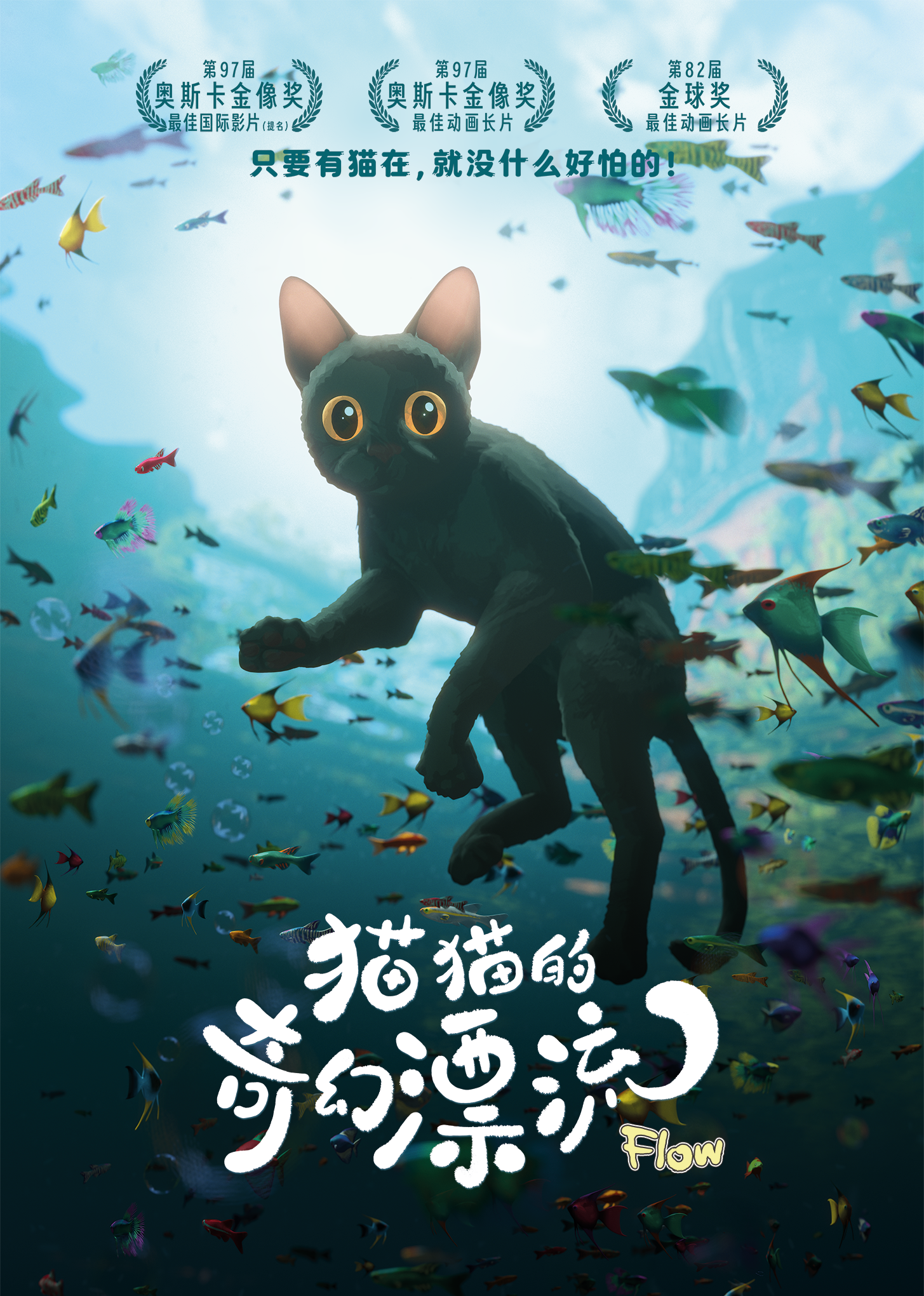 猫猫的奇幻漂流