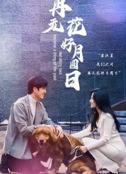 再无花好月圆日