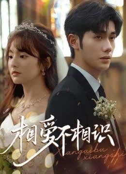 相爱不相识