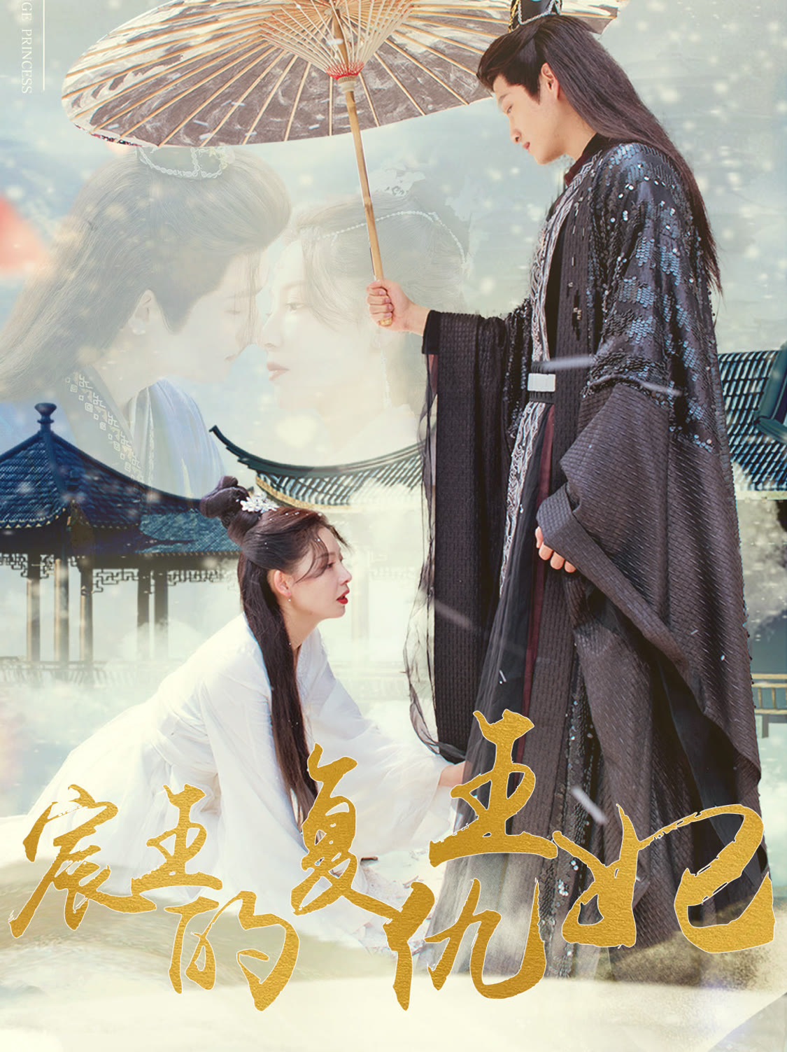 宸王的复仇王妃