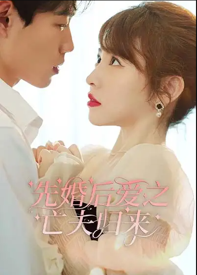 先婚后爱之亡夫归来