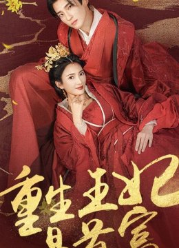 重生王妃是首富