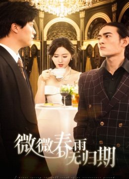 微微春雨无归期