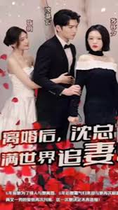 离婚后沈总满世界追妻