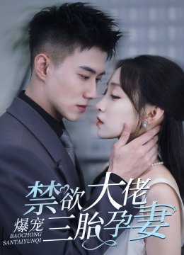 禁欲大佬爆宠三胎孕妻