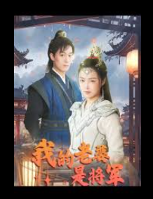 我的老婆是将军